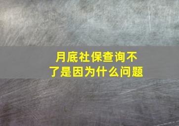 月底社保查询不了是因为什么问题