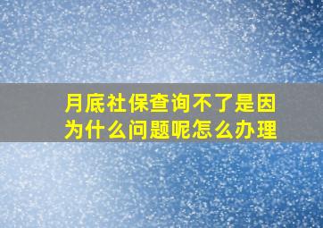 月底社保查询不了是因为什么问题呢怎么办理