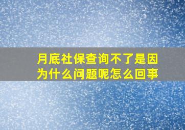 月底社保查询不了是因为什么问题呢怎么回事