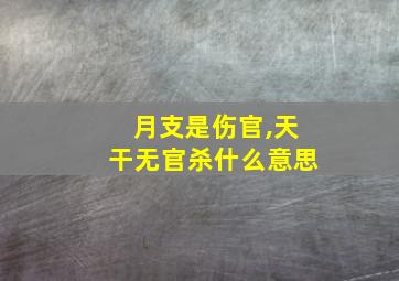 月支是伤官,天干无官杀什么意思