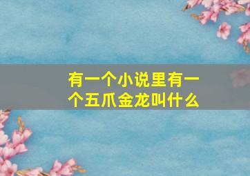 有一个小说里有一个五爪金龙叫什么