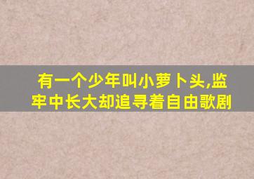 有一个少年叫小萝卜头,监牢中长大却追寻着自由歌剧