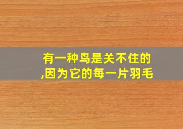 有一种鸟是关不住的,因为它的每一片羽毛