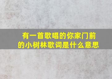 有一首歌唱的你家门前的小树林歌词是什么意思