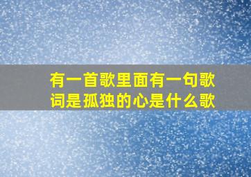 有一首歌里面有一句歌词是孤独的心是什么歌