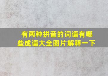 有两种拼音的词语有哪些成语大全图片解释一下