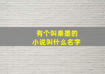 有个叫秦墨的小说叫什么名字