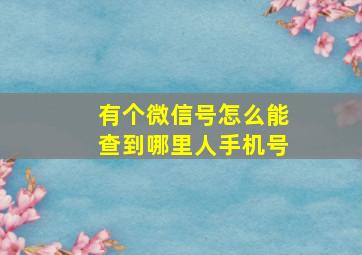 有个微信号怎么能查到哪里人手机号