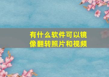 有什么软件可以镜像翻转照片和视频