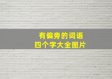 有偏旁的词语四个字大全图片