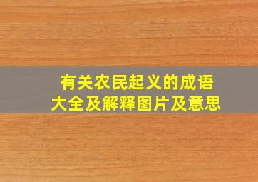 有关农民起义的成语大全及解释图片及意思