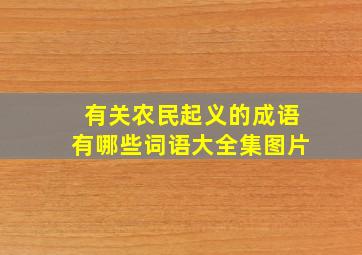 有关农民起义的成语有哪些词语大全集图片