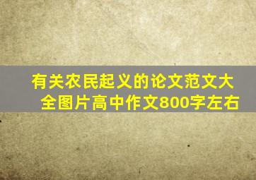 有关农民起义的论文范文大全图片高中作文800字左右