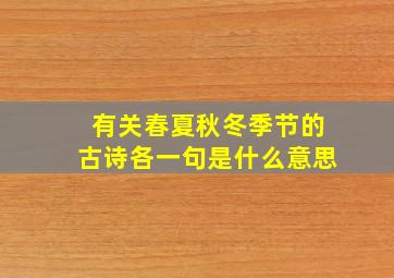 有关春夏秋冬季节的古诗各一句是什么意思