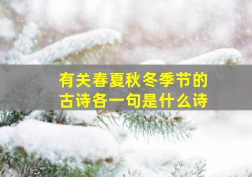 有关春夏秋冬季节的古诗各一句是什么诗