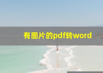 有图片的pdf转word