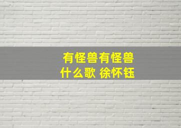 有怪兽有怪兽什么歌 徐怀钰