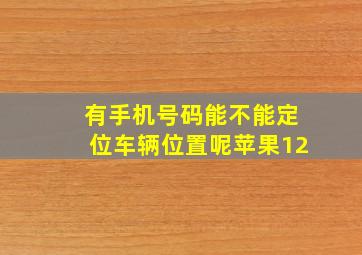 有手机号码能不能定位车辆位置呢苹果12