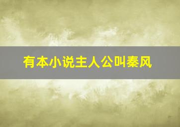 有本小说主人公叫秦风