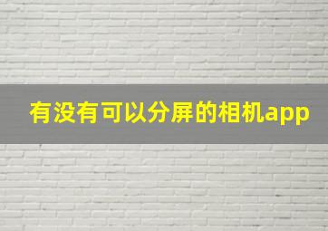 有没有可以分屏的相机app