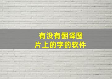 有没有翻译图片上的字的软件