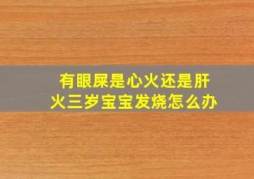 有眼屎是心火还是肝火三岁宝宝发烧怎么办