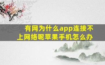 有网为什么app连接不上网络呢苹果手机怎么办