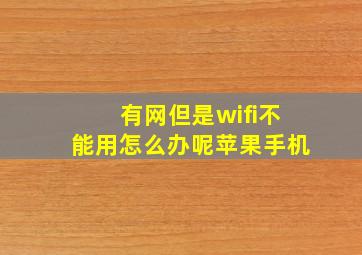 有网但是wifi不能用怎么办呢苹果手机