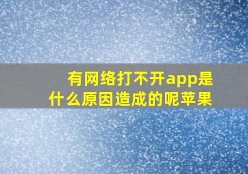 有网络打不开app是什么原因造成的呢苹果