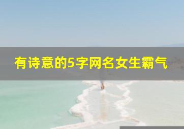 有诗意的5字网名女生霸气