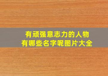 有顽强意志力的人物有哪些名字呢图片大全