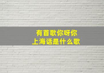 有首歌你呀你上海话是什么歌