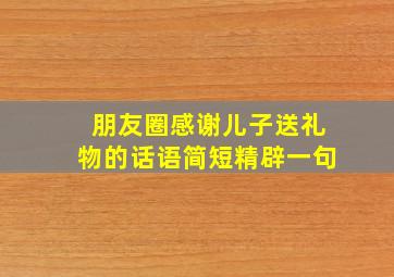 朋友圈感谢儿子送礼物的话语简短精辟一句