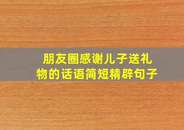 朋友圈感谢儿子送礼物的话语简短精辟句子