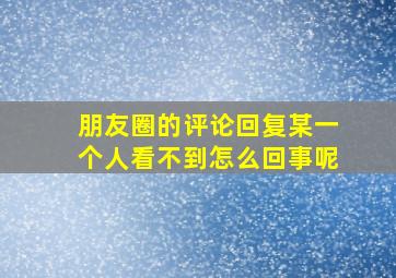 朋友圈的评论回复某一个人看不到怎么回事呢