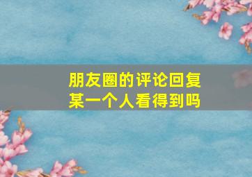 朋友圈的评论回复某一个人看得到吗