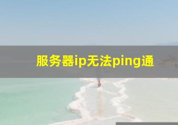 服务器ip无法ping通