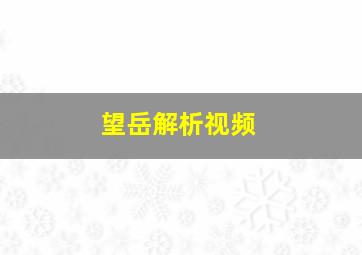 望岳解析视频