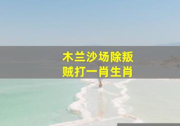 木兰沙场除叛贼打一肖生肖