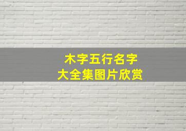 木字五行名字大全集图片欣赏