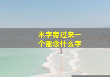 木字旁过来一个盈念什么字