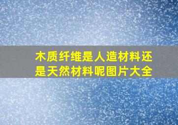 木质纤维是人造材料还是天然材料呢图片大全