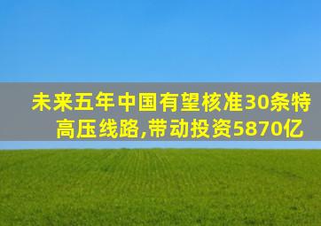 未来五年中国有望核准30条特高压线路,带动投资5870亿