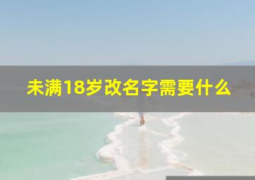 未满18岁改名字需要什么