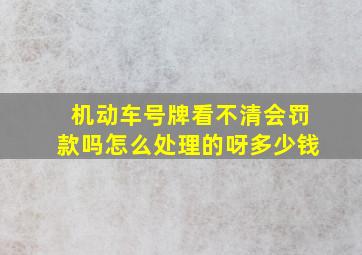 机动车号牌看不清会罚款吗怎么处理的呀多少钱