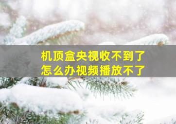 机顶盒央视收不到了怎么办视频播放不了