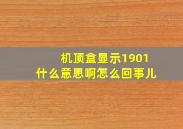 机顶盒显示1901什么意思啊怎么回事儿