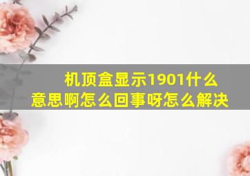 机顶盒显示1901什么意思啊怎么回事呀怎么解决