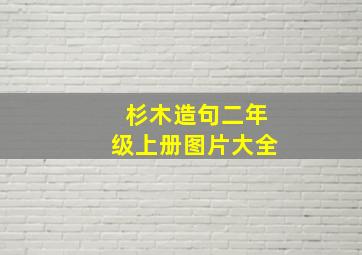 杉木造句二年级上册图片大全