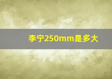 李宁250mm是多大